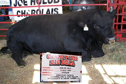 09FAIR-24.JPG