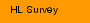 HL Survey