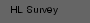 HL Survey