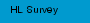 HL Survey
